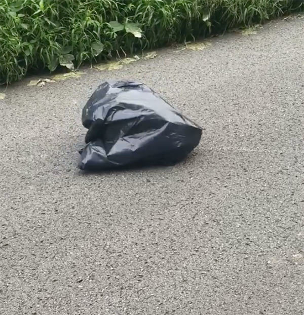 Woman Swerves To Miss Trash Bag In Road, Looks Closer And Gets The ...