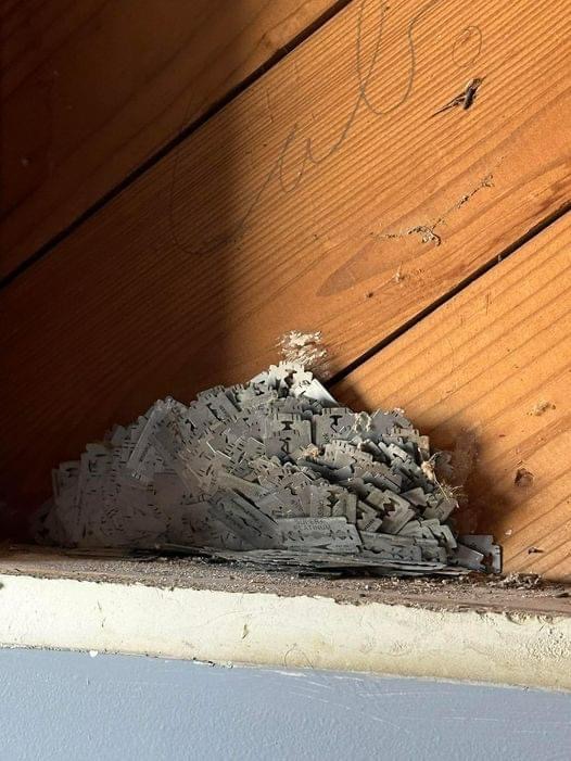 Why the Walls of Your House May Contain Razor Blades —